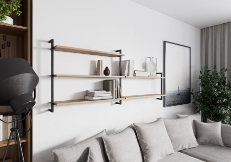 Shelving systems in living room